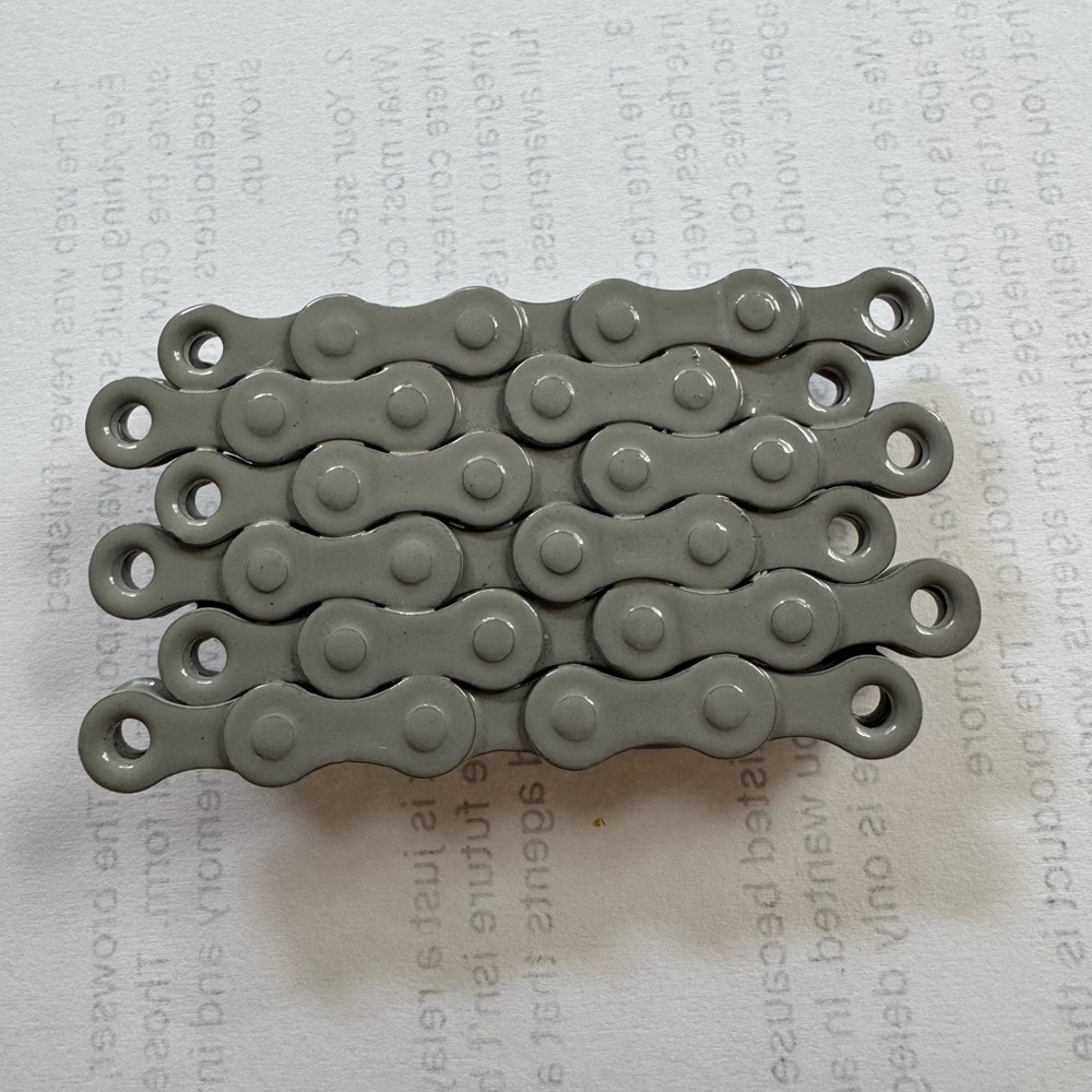 NWT Gray Belt Buckle, Bicycle Chain